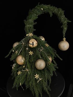 圣诞限定   铃儿响叮当 · 少女松圣诞树