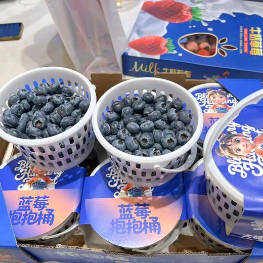 花香蓝莓 18+大果 商品图4