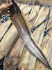 舟山野生鳗鱼干1.8-2斤/份【2-4条】 商品缩略图2