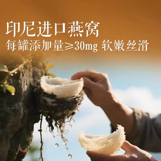 良品铺子鲜炖燕窝银耳羹200g 商品图3