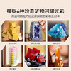 H乐高积木L21362乐高创意高手系列矿石藏品 商品缩略图4