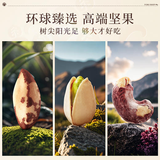 臻味-2320g环球尊享礼盒【年货】JDD 商品图10