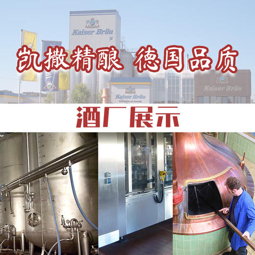 凯撒黑啤啤酒500ml 商品图5