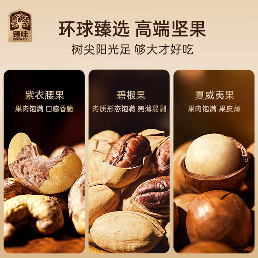 臻味-2090g环球典雅礼盒【年货】JDD 商品图10