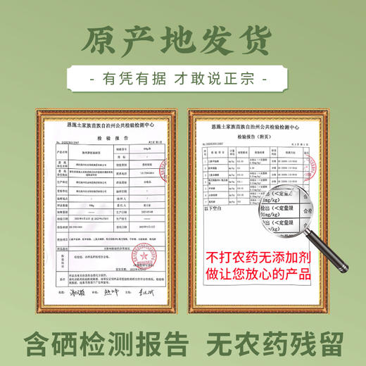 【严选】恩施硒茶  绿茶新茶明前特级富硒茶高山毛尖茶叶恩施硒茶条盒装120g/盒（厂家直发） 商品图4