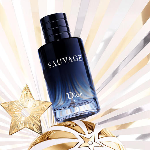 DIOR迪奥 Sauvage旷野男士香氛系列 商品图5