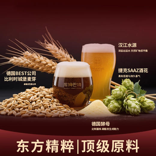 库姆巴特健壹·精酿啤酒688ml/瓶 商品图2