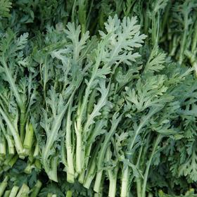 生态皇帝菜（小叶茼蒿） | 绿家自产* Ecological Chrysanthemum coronarium | In-House Production