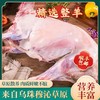 内蒙古乌珠穆沁草原羊（全羊卡10KG) 商品缩略图0