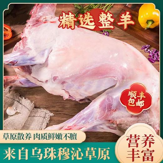 内蒙古乌珠穆沁草原羊（全羊卡10KG) 商品图0