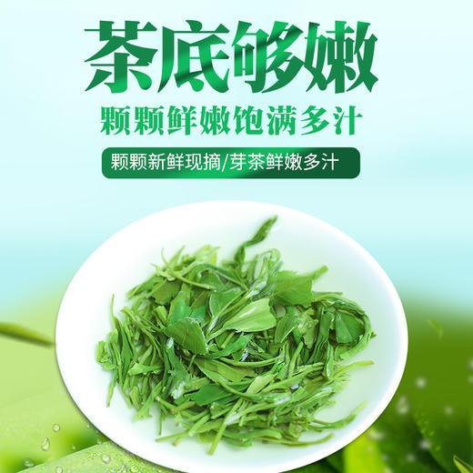 【严选】恩施富硒 2025新茶日照明前春茶高山云雾绿茶茶叶  恩施硒茶（3836）袋装250g/袋 （厂家直发） 商品图2