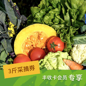 绿手指有机农园丙午马年春节3斤蔬菜采摘券