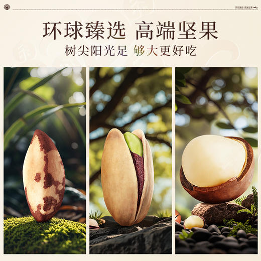 臻味-2670g环球至尊礼盒【年货】JDD 商品图9