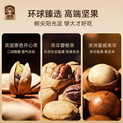 臻味-1010g环球臻果礼盒【年货】JDD 商品图8