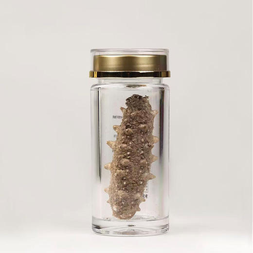 鑫玉龙冻干海参6头礼盒装（净重1.5g*6只）/盒 商品图3