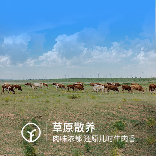 牧北鲜有机原切牛肉饼500g(100g*5片)/袋 商品图2