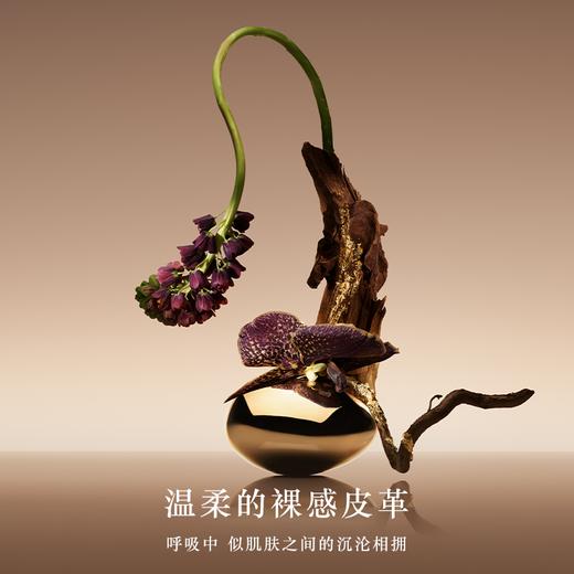 阿玛尼 高定私藏香氛  (Les Mille et Une Nuits)1001夜系列香氛  皮革皇家沉香阿拉伯玫瑰寒沙麝香暗夜皮革 商品图4