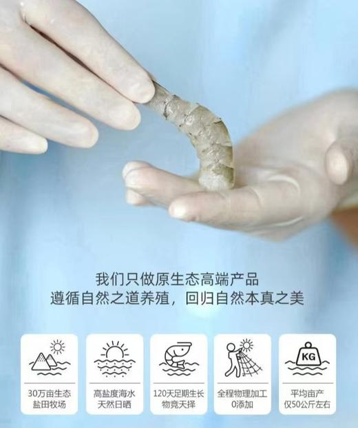 俏虾客 有机盐田生虾仁500g*2盒 商品图1