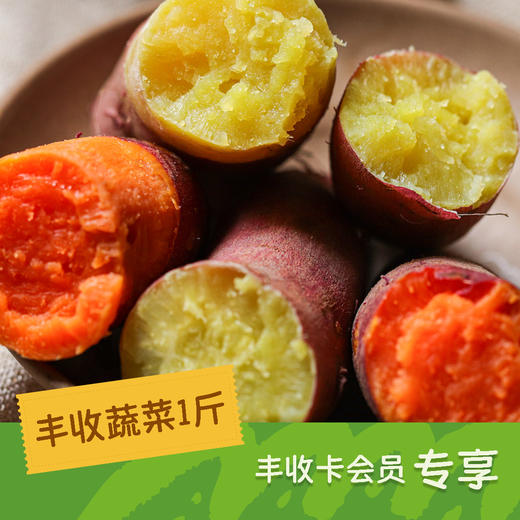 绿手指丰收会员专享 蔬菜1斤 商品图1