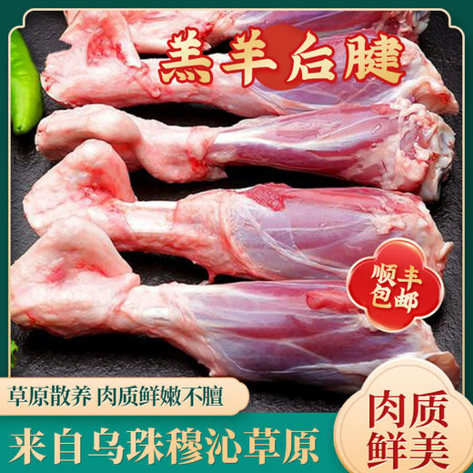 内蒙古乌珠穆沁草原羊(提货卡2.25KG) 商品图5