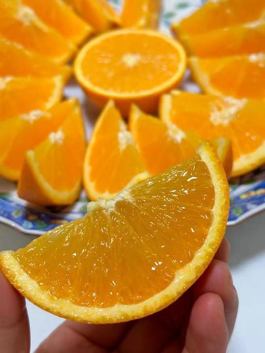 有机赣南脐橙5kg 商品图4