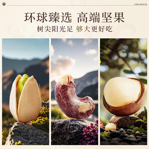 臻味-960g环球时尚礼盒【年货】JDD 商品图8