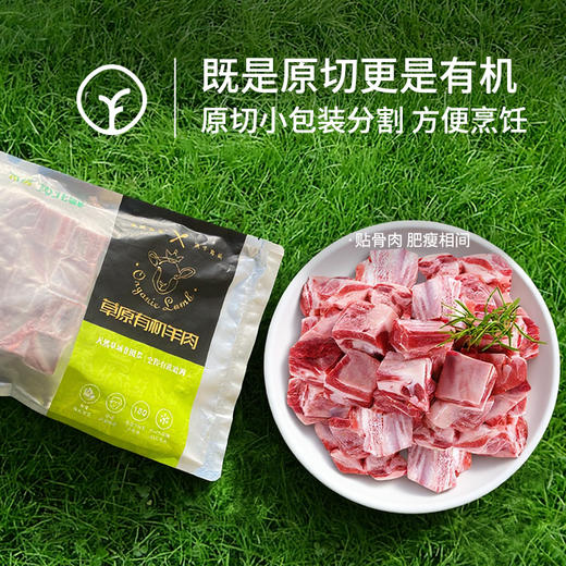 牧北鲜有机苏尼特羊寸排500g 商品图2