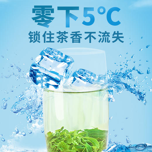 【严选】施州恩施玉露 蒸青绿茶2025年新茶 明前春茶恩施玉露礼盒装200g/盒  送礼 （厂家直发） 商品图4