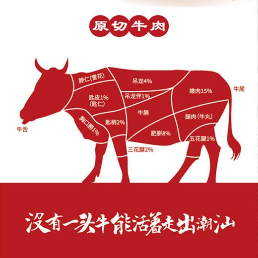 【潮汕牛肉火锅20件套】鲜肉现切，急速锁鲜，移动火锅在家轻松涮~（2/5-2/24停发） 商品图12