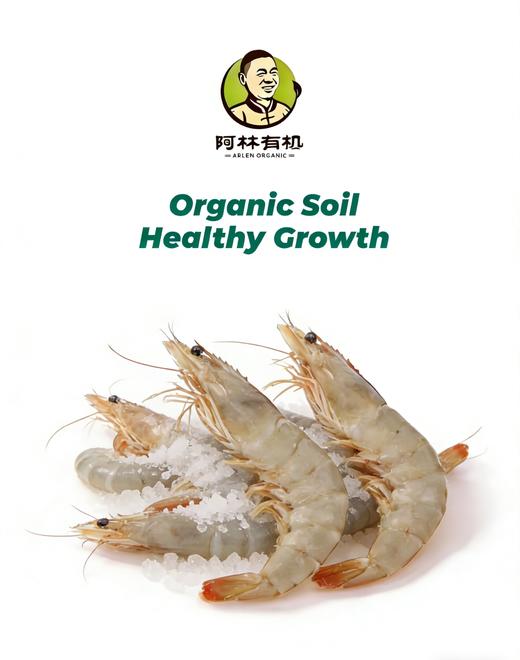 俏虾客 有机盐田带头生虾400g*2盒 商品图0