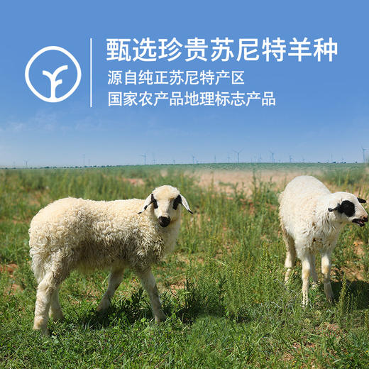 牧北鲜有机苏尼特羊寸排500g 商品图1