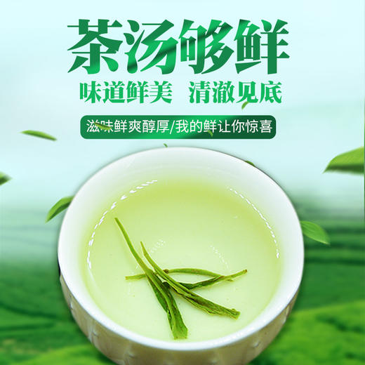 【严选】恩施富硒 2025新茶日照明前春茶高山云雾绿茶茶叶  恩施硒茶（3836）袋装250g/袋 （厂家直发） 商品图4