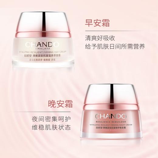 自然堂弹嫩紧致抗皱滋养早安霜50g 商品图3