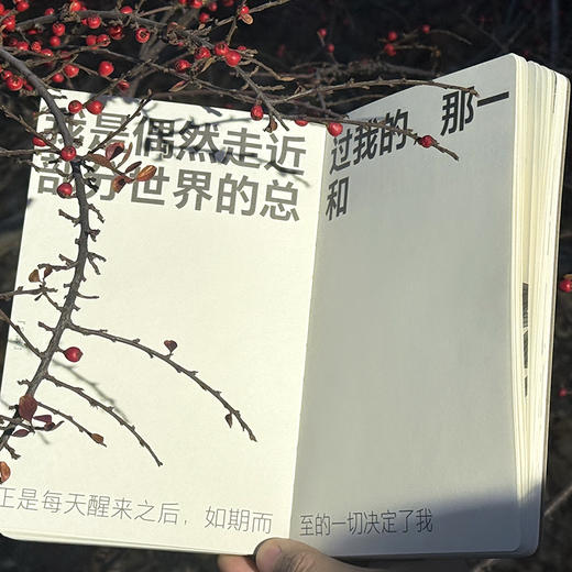 《我无比爱一首诗正是它给我带来了空旷》诗歌手账 商品图3