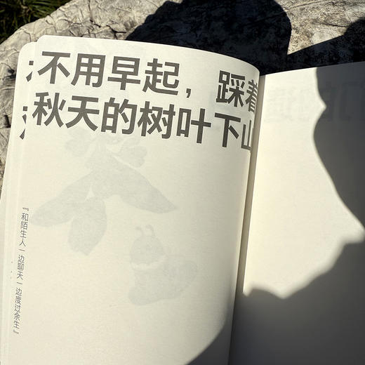 《我无比爱一首诗正是它给我带来了空旷》诗歌手账 商品图1