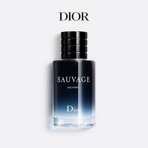 DIOR迪奥 Sauvage旷野男士香氛系列 商品图9