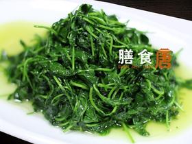豆苗