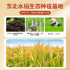 邻家饭香 东北大米 长粒香 500g 袋 真空包装  LJFX13-C 商品缩略图8