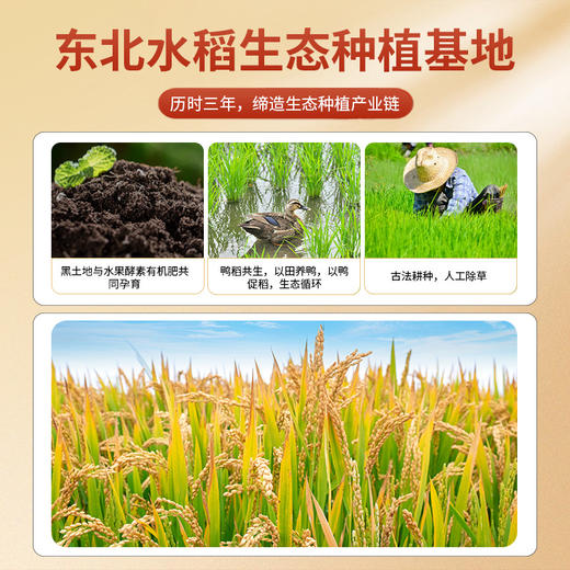 邻家饭香 东北大米 长粒香 500g 袋 真空包装  LJFX13-C 商品图8