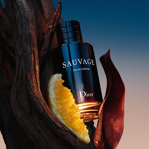DIOR迪奥 Sauvage旷野男士香氛系列 商品图4
