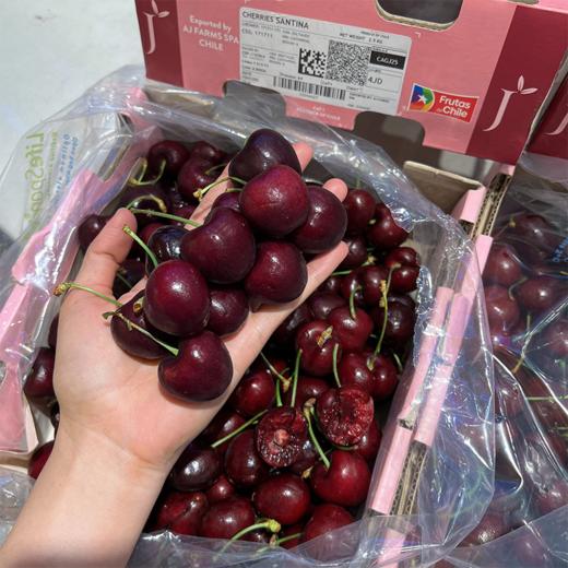 四JJJJ 拉宾斯车厘子巨大果  商品图7