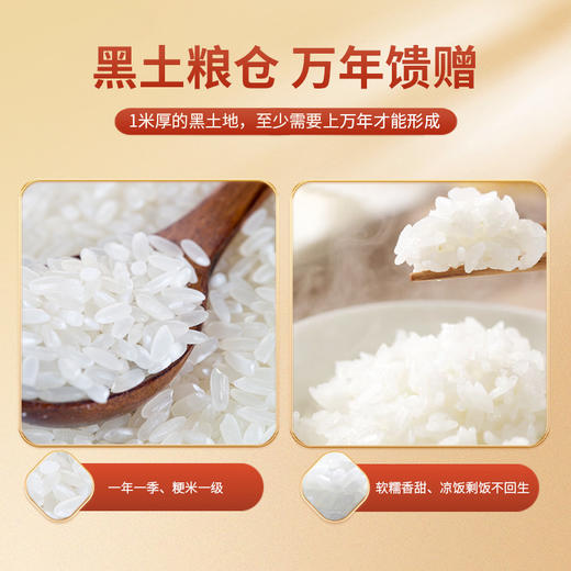 邻家饭香 东北大米 长粒香 500g 袋 真空包装  LJFX13-C 商品图10