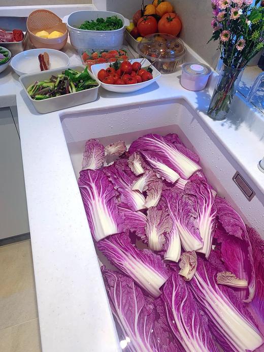 紫晶白菜 商品图2