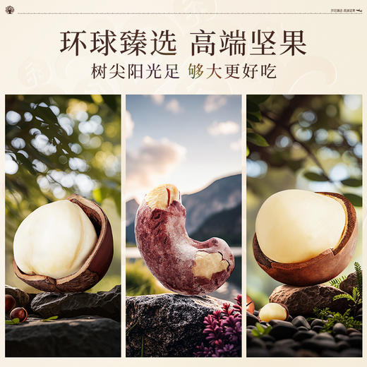 臻味-1900g环球吉庆果礼盒【年货】JDD 商品图7