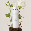 白玫瑰保湿露（乐活田园，中通或圆通快递）| 公平贸易*White Rose Moisturizing Water| Fair Trade 商品缩略图1