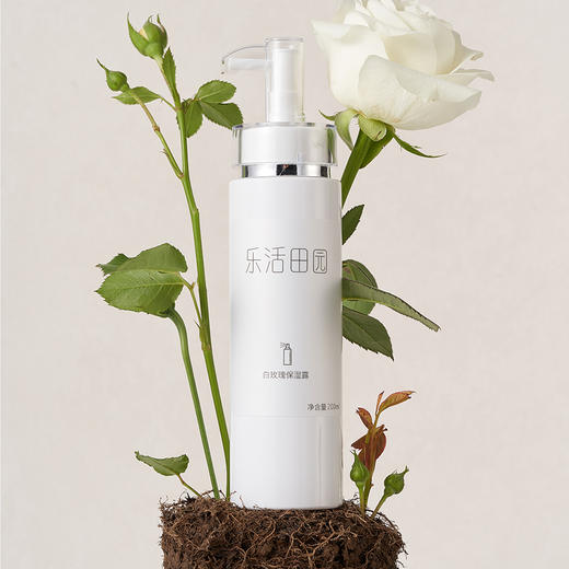白玫瑰保湿露（乐活田园，中通或圆通快递）| 公平贸易*White Rose Moisturizing Water| Fair Trade 商品图1