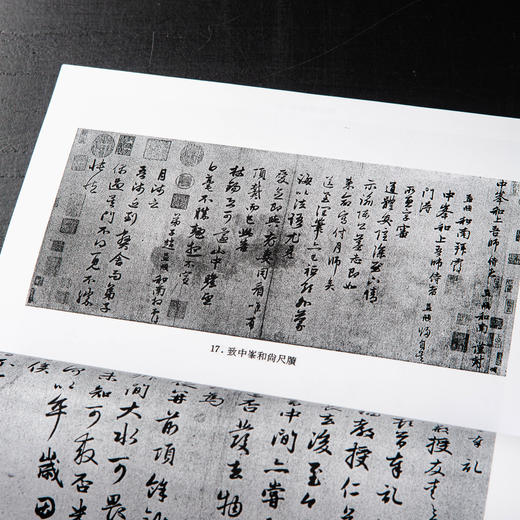 【绝版好书】《赵孟頫文学与艺术之研究》32开240页，2016年台湾学海出版 商品图13