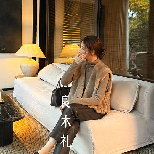 【预售7天】良木礼水貂马甲（D251103627F） 商品图4