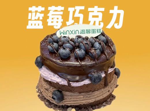 蓝莓巧克力蛋糕 商品图0