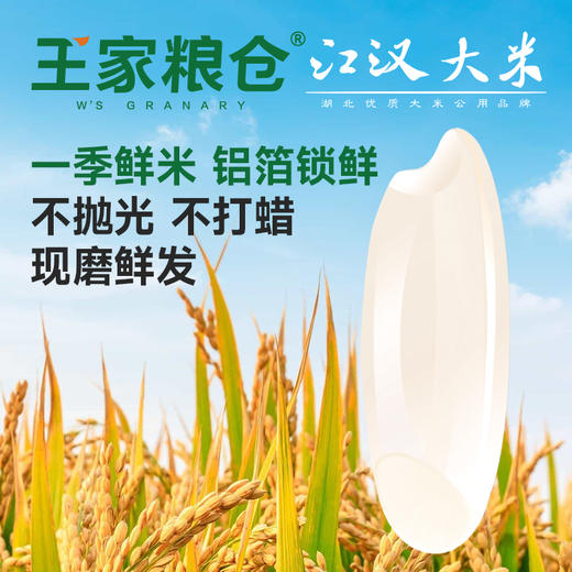 【严选】荆楚粮油 中磐王家粮仓江汉大米孝感香米鄂香二号晚稻米5kg/袋（厂家直发） 商品图2